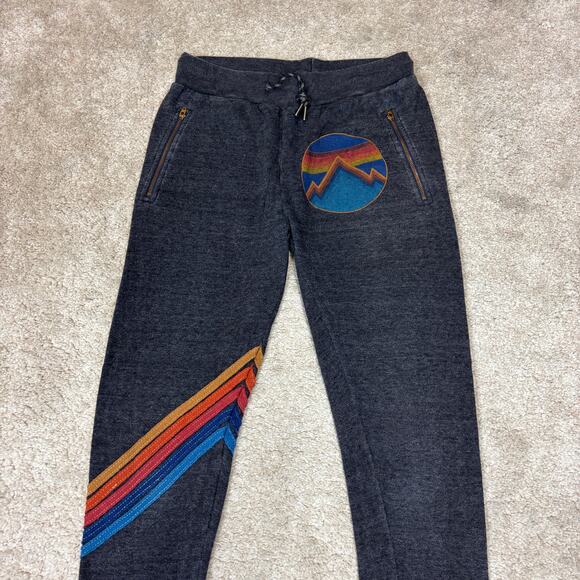 Aviator Nation Charcoal Joggers with Rainbow Stripes - Picture 2 of 9
